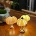 Vintage Luminous Sea Urchin Shell Night Light Desktop Atmosphere Lamp Bedroom Living Room Decoration_maomaolike.com