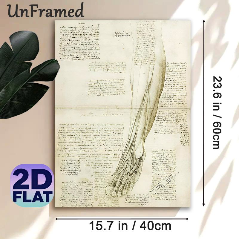 Anatomical Leg & Foot Painting Poster, Vintage Monochrome Hand-drawn Anatomical Sketch Poster, Detailed Scientific Illustration Ideal For Study_maomaolike.com
