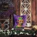 Rhodesian Ridgeback King Of Mardi Gras Throw Pillow Machine Washable, Indoor Outdoor Decorative Pillow For Couch, Bed Or Patio, 14Hx14W_maomaolike.com