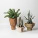Nordic European Style Ceramic Flower Pot For Succulents And Plants, Modern Simple Personality Green Radish Rose Vintage Portrait_maomaolike.com