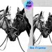 Two Horses Painting Poster, Monochrome Realistic Close-up Affectionate Horses Poster, Elegant Minimalist Decor Ideal For Living Room, Bedroom_maomaolike.com