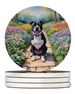 Staffordshire Bull Terrier Spring Path Large Sandstone Coasters Pack Of 4 Absorbent Round Coasters Decor Gifts For Men Or Women, 4 In, Multicolor_maomaolike.com