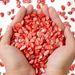 Small Natural Crushed Shells For Crafts About 2LB 900g 31.74oz DIY Beaching Wedding Decoration Vase Fillers_maomaolike.com