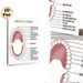Human Teeth Educational Painting Poster, Clear Labeled Minimalist Poster, Informative Dental Anatomy Reference Ideal For Dental Clinics, Study Spaces_maomaolike.com