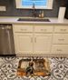Briard Fall Kitchen Pumpkins Memory Foam Kitchen Mat Machine Washable Anti-Fatigue Mat Cushion Comfort Bath Mat Or Kitchen Rug_maomaolike.com