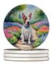 English Bull Terrier Spring Path Large Sandstone Coasters Pack Of 4 Absorbent Round Coasters Decor Gifts For Men Or Women, 4 In, Multicolor_maomaolike.com