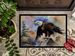 Eagle Doormat Front Door Mat Indoor Outdoor Rugs For Entryway, Non Slip Washable Low Pile, 24H X 36W_maomaolike.com