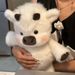Creative Gift Soft Pig Animal Pillow Emotional Support Cute Animals Plush 17.7inch Stuffed Toys_maomaolike.com