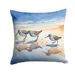Sandpipers Throw Pillow Machine Washable, Indoor Outdoor Decorative Pillow For Couch, Bed Or Patio, 14Hx14W_maomaolike.com