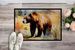 Grizzly Bear Doormat Front Door Mat Indoor Outdoor Rugs For Entryway, Non Slip Washable Low Pile, 24H X 36W_maomaolike.com