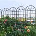 4 Pack Metal Garden Trellis 86.7" X 19.7" Rustproof Trellis For Climbing Plants Outdoor Flower Support Black_maomaolike.com