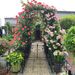 Metal Garden Arch With Plant Pot Garden Arbor Trellis Climbing Plants Support Rose Arch Black_maomaolike.com