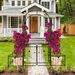 Metal Garden Arch With Gate 79.5'' Wide X 86.6'' High Climbing Plants Support Rose Arch Outdoor Black_maomaolike.com