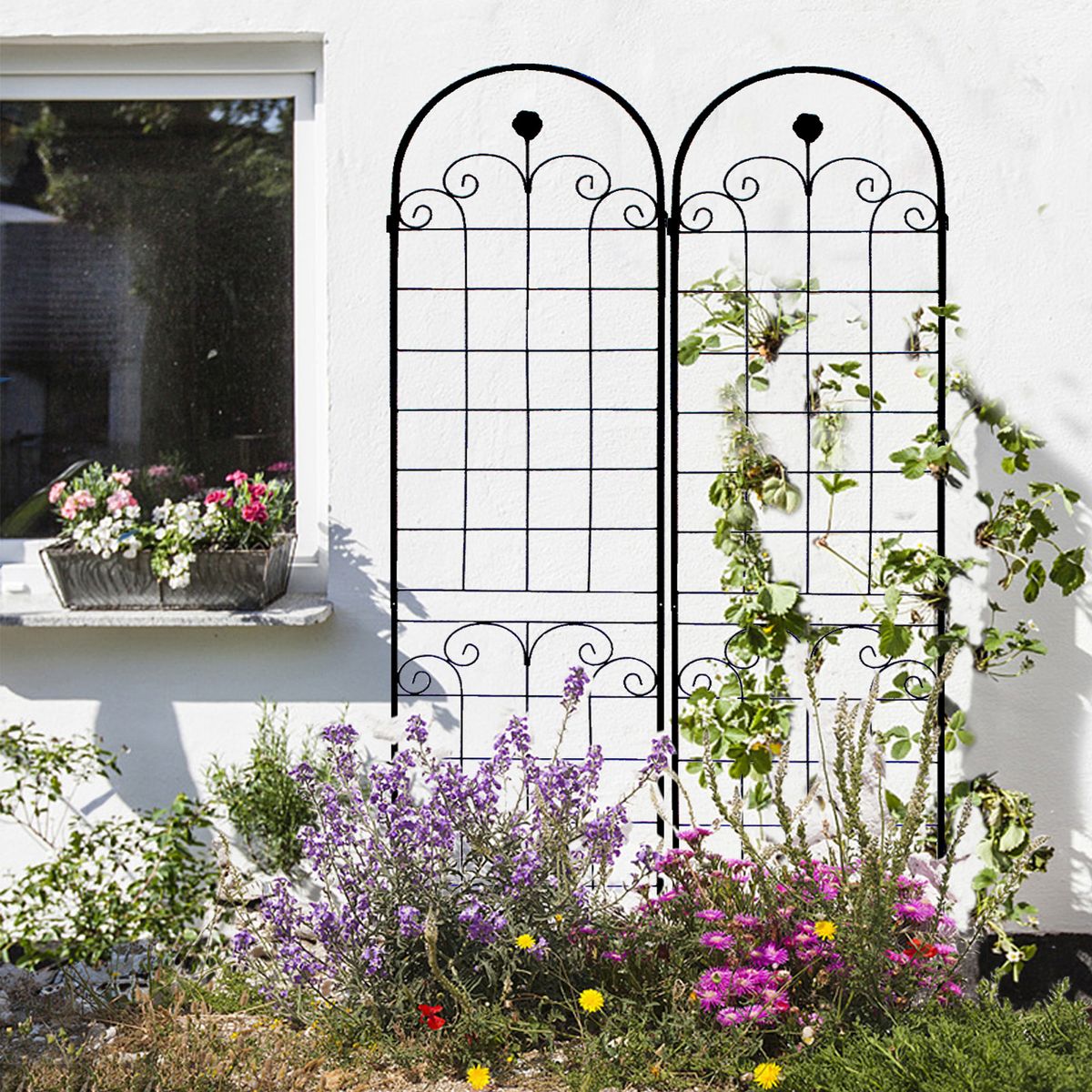 4 Pack Metal Garden Trellis For Climbing Plants Outdoor 86.7'' X 19.7'' Rustproof Plant Support Rose Trellis Netting Trellis Black_maomaolike.com