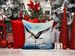 Black Skimmer Throw Pillow Machine Washable, Indoor Outdoor Decorative Pillow For Couch, Bed Or Patio, 14Hx14W_maomaolike.com