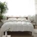 Meiji Nishikawa Japanese Style Winter Spring Autumn Quilt Core Hotel Homestay Pure Cotton Seven-Hole Fiber Other_maomaolike.com