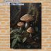Forest Mushroom Painting Poster, Realistic Dark Forest Mushroom & Fern Scene Poster, Calming Natural Woodland Design, Ideal For Living Room, Bedroom_maomaolike.com