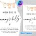 Baby Shower "How Big Is Mommy's Belly" Painting Poster, Delicate Watercolor Onesies & String Lights Poster, Interactive Game Prop Ideal For Baby_maomaolike.com