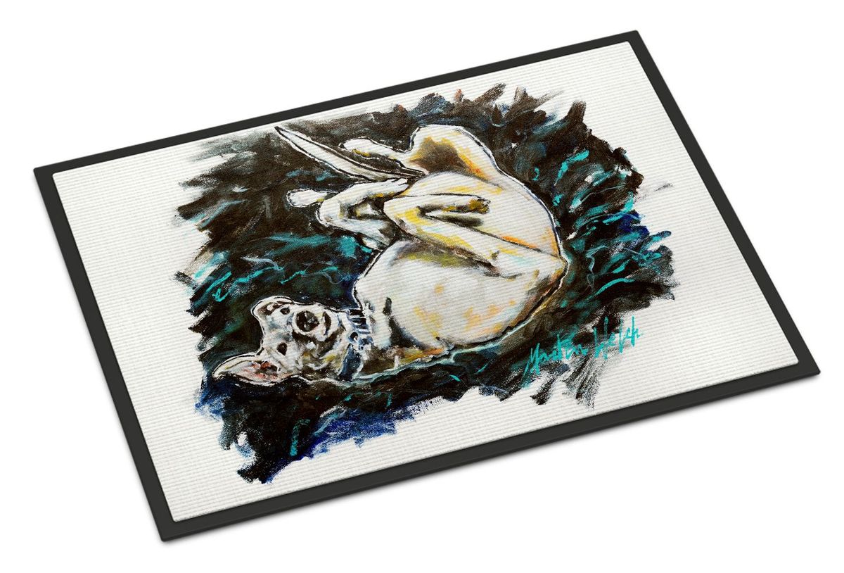 Happy Times Greyhoud Doormat Front Door Mat Indoor Outdoor Rugs For Entryway, Non Slip Washable Low Pile, 24H X 36W_maomaolike.com