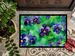 Wisconsin Wood Violets In Watercolor Doormat Front Door Mat Indoor Outdoor Rugs For Entryway, Non Slip Washable Low Pile, 24H X 36W_maomaolike.com