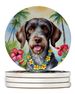 German Wirehaired Pointer Luau Large Sandstone Coasters Pack Of 4 Absorbent Round Coasters Decor Gifts For Men Or Women, 4 In, Multicolor_maomaolike.com
