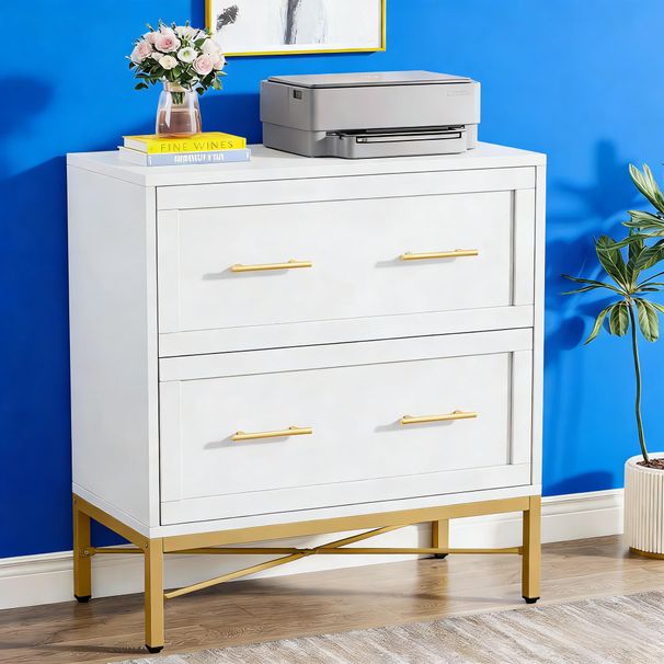 2-Drawer File Cabinet, Lateral Storage Cabinet Printer StandW_maomaolike.com