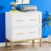 2-Drawer File Cabinet, Lateral Storage Cabinet Printer StandW_maomaolike.com