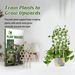 Yegbong Garden Plant Trellis, Home Wooden Geometric Molding Decorative Support Flower Arrangements Climbing Pergola_maomaolike.com