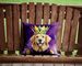 Golden Retriever King Of Mardi Gras Throw Pillow Machine Washable, Indoor Outdoor Decorative Pillow For Couch, Bed Or Patio, 14Hx14W_maomaolike.com