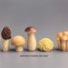 Bored, Place Some Cute Mushrooms To Heal Your Computer Desktop Japanese Style Workstation Office Desk Small Ornaments_maomaolike.com