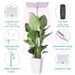 LED Plant Growth Lamp Lifting Full Spectrum Quantum Board Seedling Green Plant Aquarium Succulent Plant Fill Light Factory_maomaolike.com