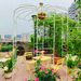 Metal Garden Arch Iron Garden Arbors Gazebo Dia81.3'' X 114.2'' High Birdcage Shape Pergola Pavilion For Wedding Ceremony Outdoor_maomaolike.com
