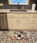 Gordon Setter The Chef Memory Foam Kitchen Mat Machine Washable Anti-Fatigue Mat Cushion Comfort Bath Mat Or Kitchen Rug_maomaolike.com