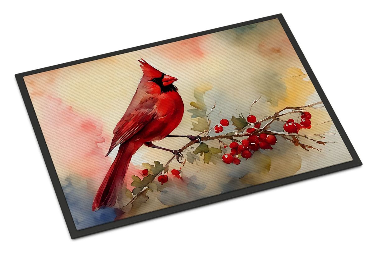 Cardinal Doormat Front Door Mat Indoor Outdoor Rugs For Entryway, Non Slip Washable Low Pile, 24H X 36W_maomaolike.com