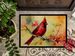 Cardinal Doormat Front Door Mat Indoor Outdoor Rugs For Entryway, Non Slip Washable Low Pile, 24H X 36W_maomaolike.com
