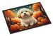 Coton De Tulear Fall Doormat Front Door Mat Indoor Outdoor Rugs For Entryway, Non Slip Washable Low Pile, 24H X 36W_maomaolike.com
