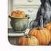 Afghan Hound Fall Kitchen Pumpkins Memory Foam Kitchen Mat Machine Washable Anti-Fatigue Mat Cushion Comfort Bath Mat Or Kitchen Rug_maomaolike.com