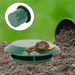 Garden Farm Protector Slug House Pests Reject Animal Pest Repeller Trap Catcher Gintrap Tools Snail Cage Eco-friendly_maomaolike.com
