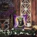 Belgian Sheepdog King Of Mardi Gras Throw Pillow Machine Washable, Indoor Outdoor Decorative Pillow For Couch, Bed Or Patio, 14Hx14W_maomaolike.com