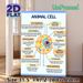 Animal Cell Diagram Painting Poster, Clear Labeled Scientific Illustration Poster, Informative Guide To Learn Animal Cell Structures, Ideal For Study_maomaolike.com