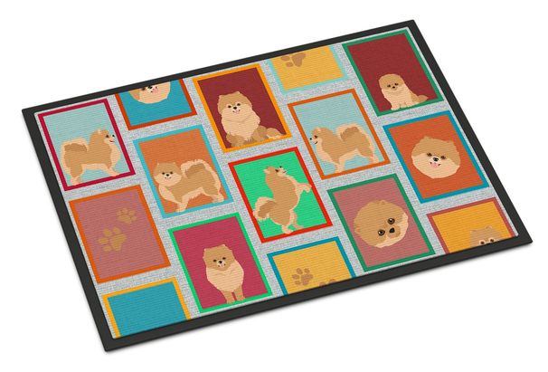 Lots Of Orange Pomeranian Doormat Front Door Mat Indoor Outdoor Rugs For Entryway, Non Slip Washable Low Pile, 24H X 36W_maomaolike.com