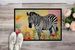 Zebra Doormat Front Door Mat Indoor Outdoor Rugs For Entryway, Non Slip Washable Low Pile, 24H X 36W_maomaolike.com