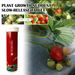 Yegbong Plant Growth Nutrition Sustained-Release Tablet, Fruit And Vegetable Plant Pot Root Growth Universal Nutrition Tablet_maomaolike.com