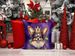 Papillon King Of Mardi Gras Throw Pillow Machine Washable, Indoor Outdoor Decorative Pillow For Couch, Bed Or Patio, 14Hx14W_maomaolike.com