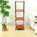 Korean Orange 4-Tier Heavy Duty Stainless Steel Storage Shelving Unit, 100lbs/shelf (49"H X 14.9"W X 13.7"D) For Indoor/Outdoor Organization , Modular Rack, Extremely Durabl_maomaolike.com