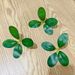 Single-piece Artificial Small Money Bayberry Store Gift Box Decoration, Fake Leaves, Plastic Fruit Green Leaves_maomaolike.com
