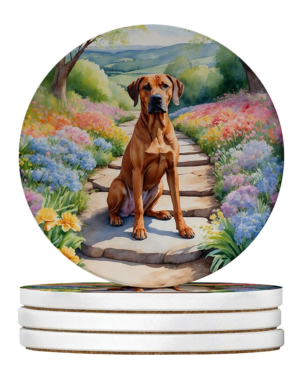 Rhodesian Ridgeback Spring Path Large Sandstone Coasters Pack Of 4 Absorbent Round Coasters Decor Gifts For Men Or Women, 4 In, Multicolor_maomaolike.com