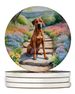 Rhodesian Ridgeback Spring Path Large Sandstone Coasters Pack Of 4 Absorbent Round Coasters Decor Gifts For Men Or Women, 4 In, Multicolor_maomaolike.com