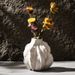 Sculptural Ceramic Vase Minimalist Nordic Home Decor · Luxury Look For Living Room & Table_maomaolike.com
