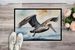 Pelican Diving Doormat Front Door Mat Indoor Outdoor Rugs For Entryway, Non Slip Washable Low Pile, 24H X 36W_maomaolike.com